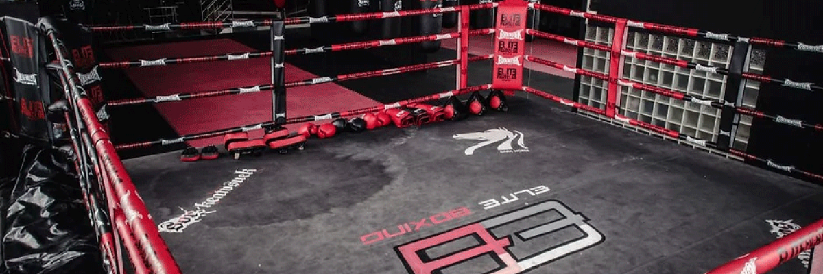 Elite fight bangkok based in the city, steps away from all the major landmarks 