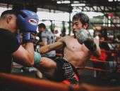 MuayThai Fever Chiang Mai