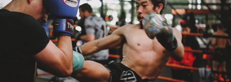 MuayThai Fever Chiang Mai