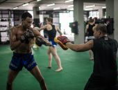 Thai Boxing training at Petchyindee Kingdom 