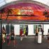Revolution MuayThai Camp  Phuket MuayThai boxing training packages including flights and training