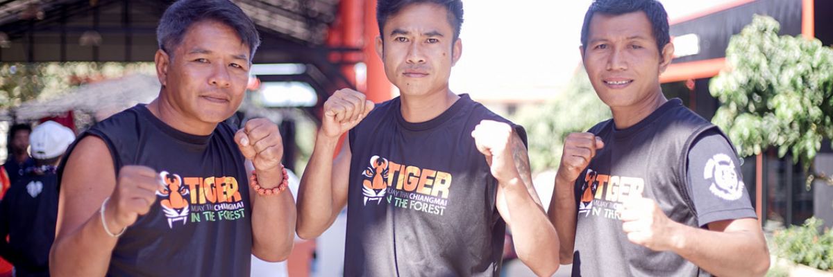 Tiger MuayThai Chiang Mai Trainers