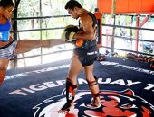 Tiger MuayThai boxing training packages including flights and training