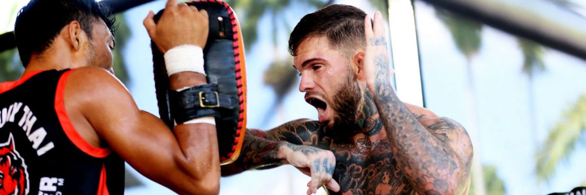 Muaythai Holiday Packages To Tiger Muaythai Beachside - 